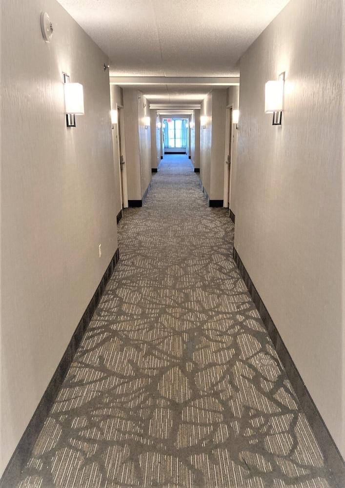 Wingate By Wyndham Hotel 4*